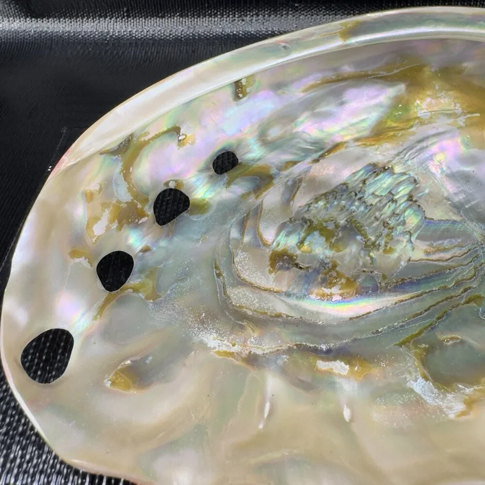 Natural Abalone Shell Large Dish Bowl Container Trinket Holder Iridescent Smooth